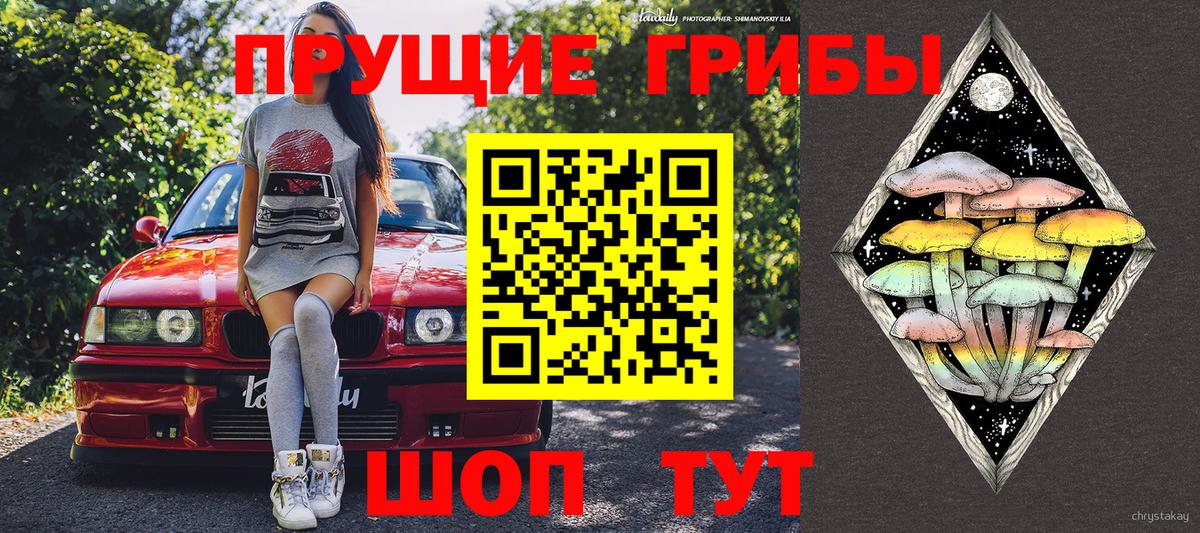 Галлюциногенные грибы мицелий  Вход с VPN  Сарапул 